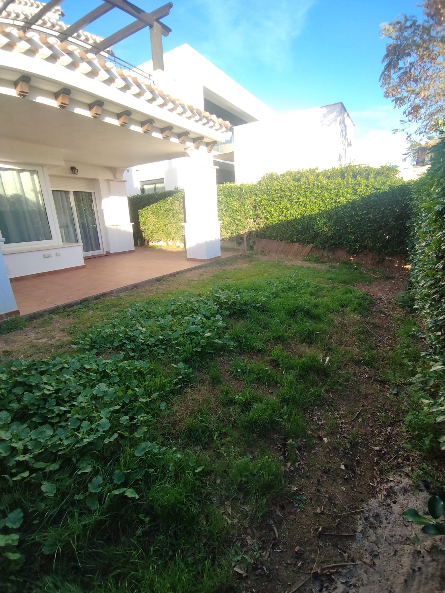 50059_WhatsApp Image 2026-02-09 at 19.10.33.jpeg